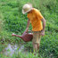 molhar horta com agua do córrego